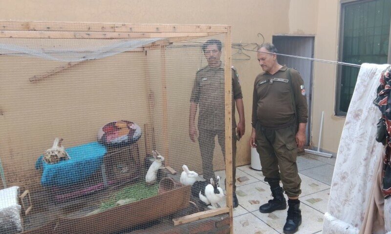 nfluencer Arrested in Lahore Over Shocking Animal Abuse Case 1